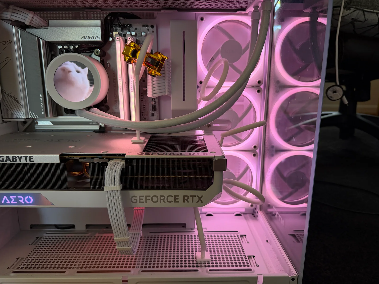 Closer front view of the rings, GPU, and car